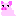 ブタ