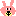 うさぎ