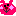 うさぎ