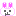 うさぎ ぷぅ