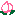 桃