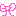 リボン