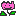 チューリップ