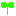 芽