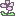 はな