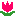 ちゅうーりっぷ