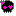 骸骨