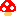 kinoko