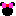 ミニー