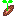 種