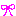 ribonn
