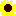 ひまわり