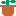 鉢植え①