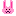 うさこ