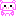 ブタ