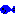 魚