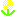 たんぽぽ