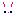 うさぎ