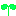 芽
