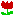 お花