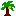 ヤシの木