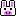 ブタウサギ