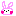 うさぎ