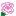 ばら