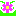 お花のわく