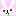 うさぎ