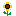 ひまわり