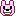 うさぎ
