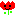 チューリップ