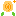 バラ