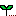 はっぱ
