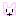 うさたん☆彡