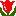 チューリップ