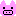 ブタ