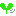 はっぱ