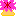 イソギンチャク