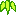 sasa
